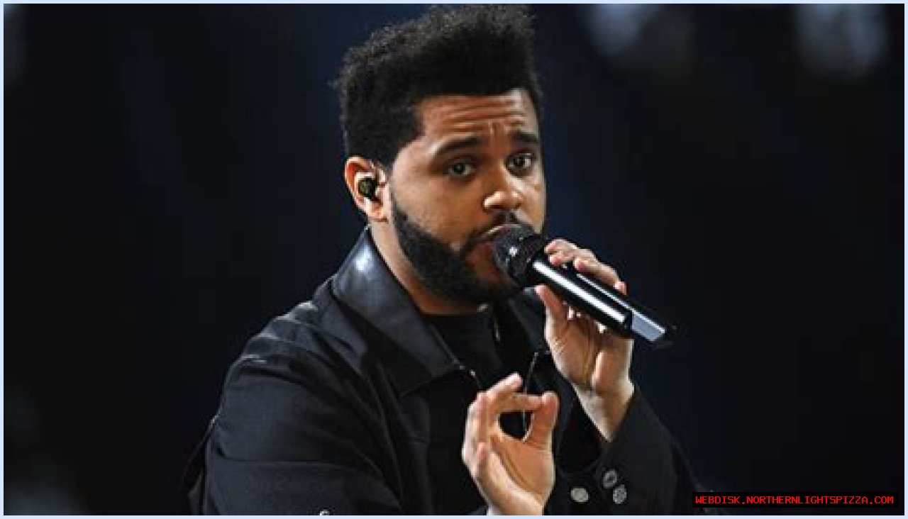 Exploring The Intriguing World Of 'navs Net Worth'